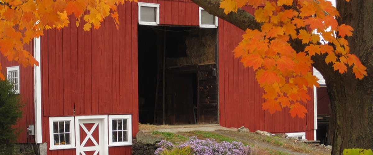 Andrew's Greenhouse, Amherst, MA