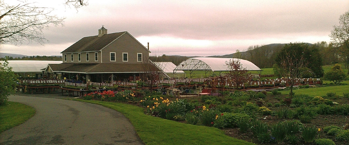 Andrew's Greenhouse, Amherst, MA