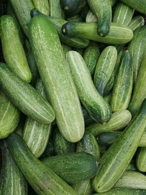 cuke pexels photo 2329440