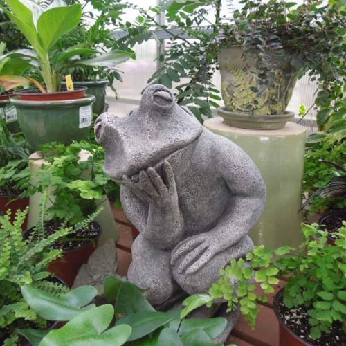 thinking frog