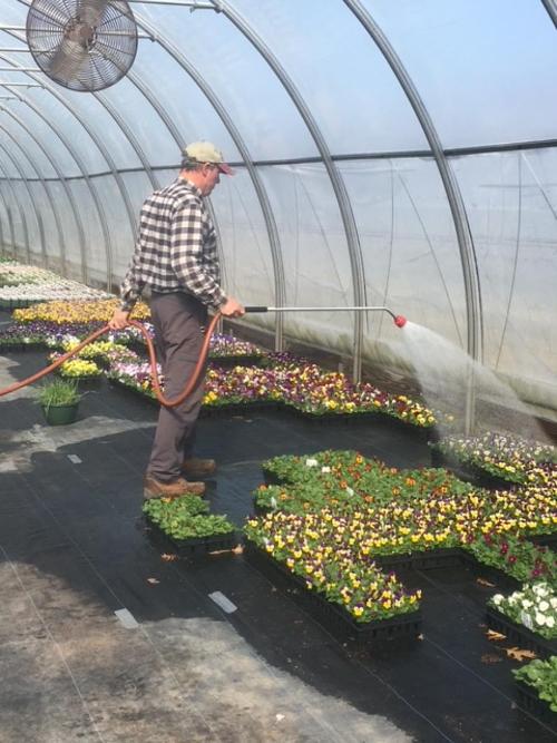 F watering