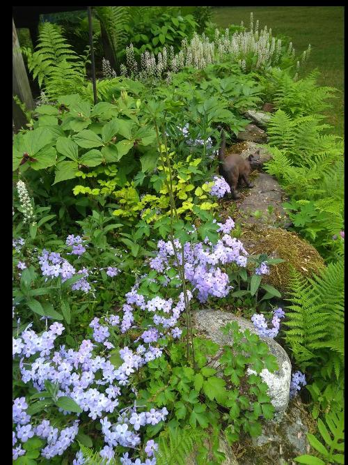 spring garden